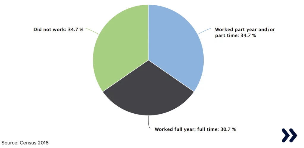 Pie chart with this values: Did not work: 34.7 % Worked part year and/or part time: 34.7 % Worked full year; full time: 30.7 % Source: Cesus 2016